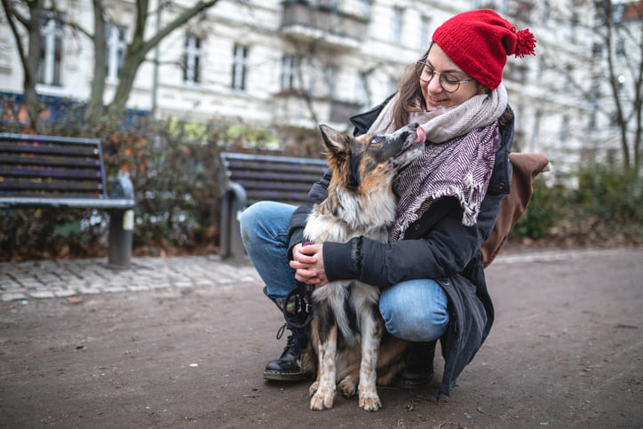 Gute Tat-Hundesitting